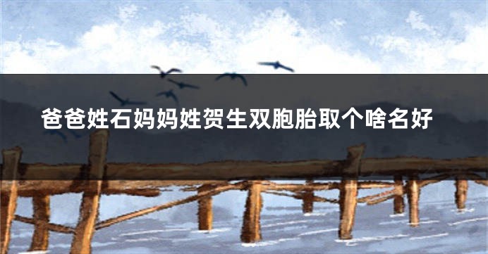 爸爸姓石妈妈姓贺生双胞胎取个啥名好
