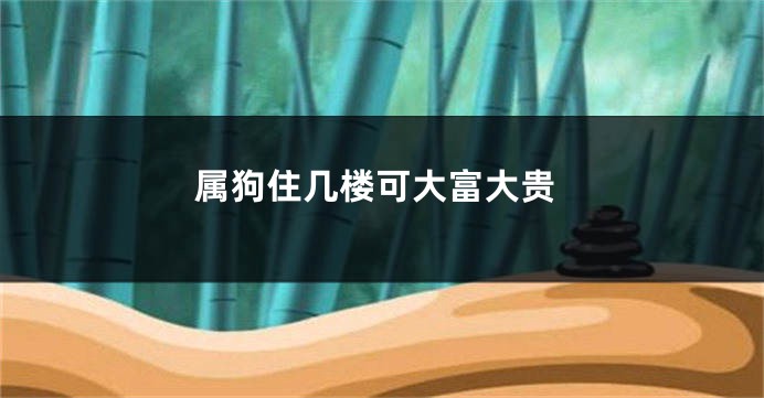 属狗住几楼可大富大贵