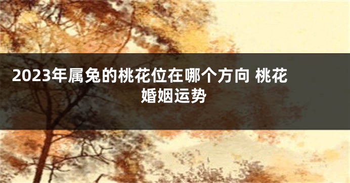 2023年属兔的桃花位在哪个方向 桃花婚姻运势