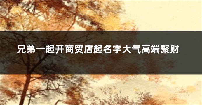 兄弟一起开商贸店起名字大气高端聚财