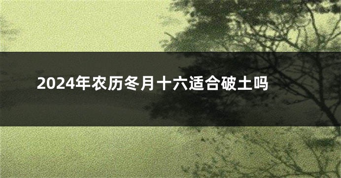 2024年农历冬月十六适合破土吗