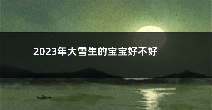 2023年大雪生的宝宝好不好