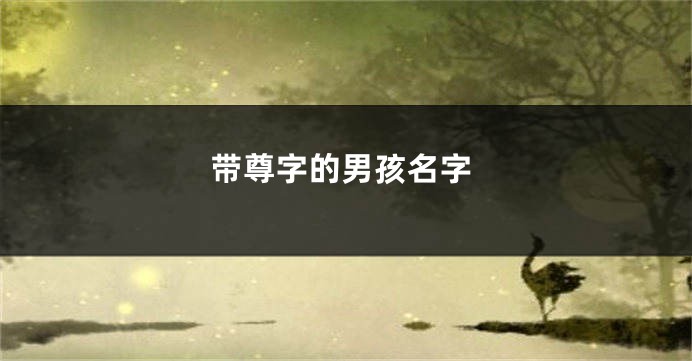 带尊字的男孩名字