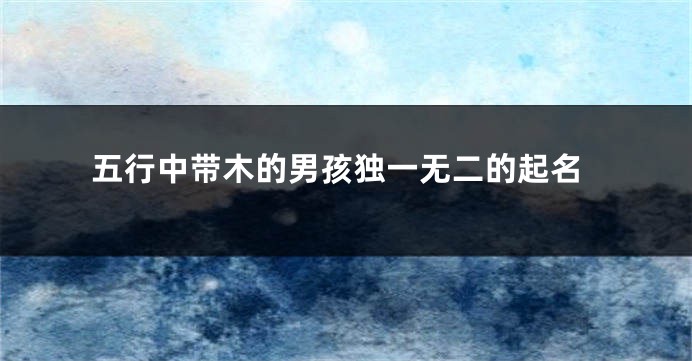 五行中带木的男孩独一无二的起名