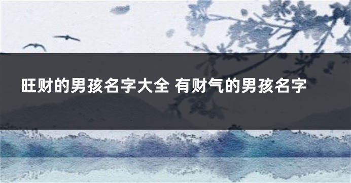 旺财的男孩名字大全 有财气的男孩名字