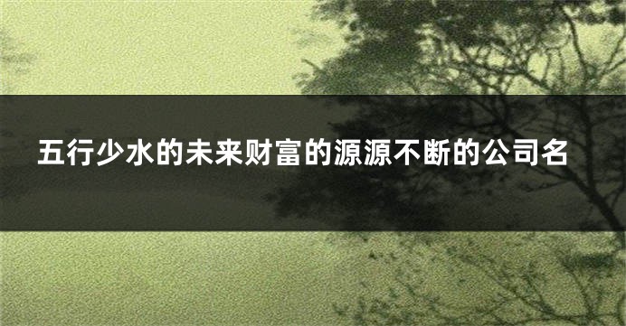五行少水的未来财富的源源不断的公司名