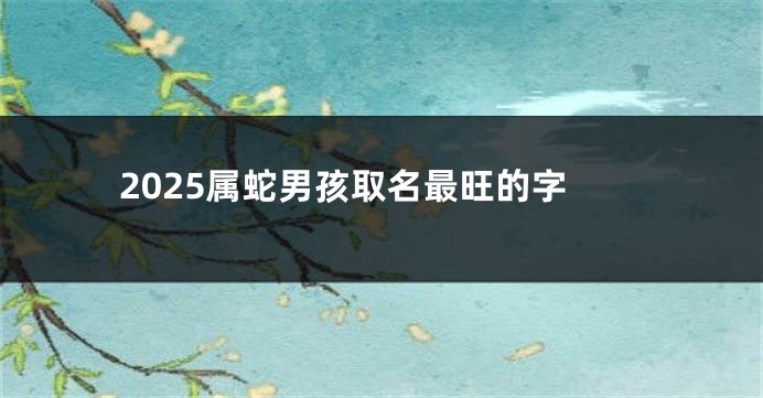 2025属蛇男孩取名最旺的字