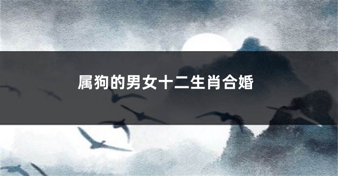 属狗的男女十二生肖合婚