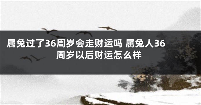 属兔过了36周岁会走财运吗 属兔人36周岁以后财运怎么样