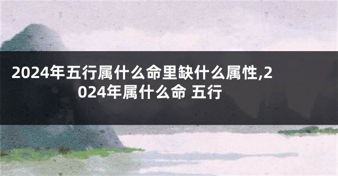 2024年五行属什么命里缺什么属性,2024年属什么命 五行