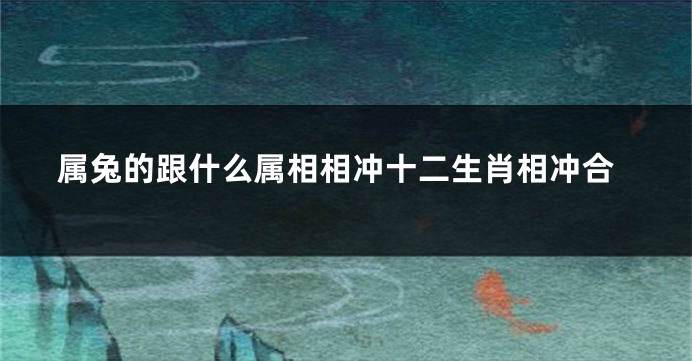 属兔的跟什么属相相冲十二生肖相冲合