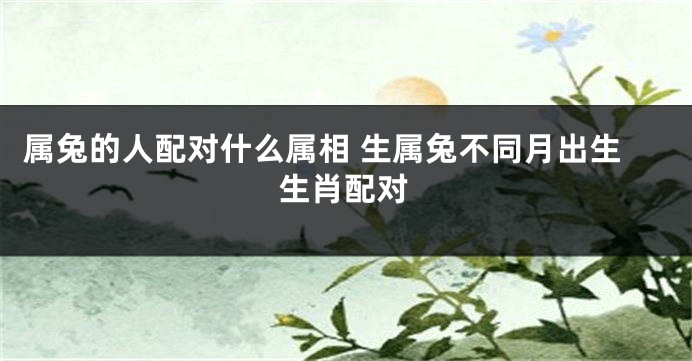 属兔的人配对什么属相 生属兔不同月出生生肖配对