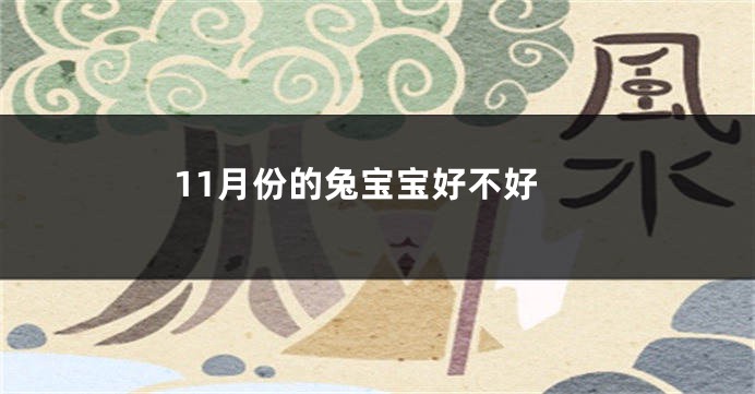 11月份的兔宝宝好不好