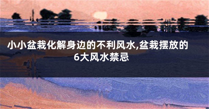 小小盆栽化解身边的不利风水,盆栽摆放的6大风水禁忌