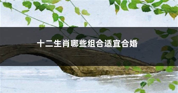 十二生肖哪些组合适宜合婚