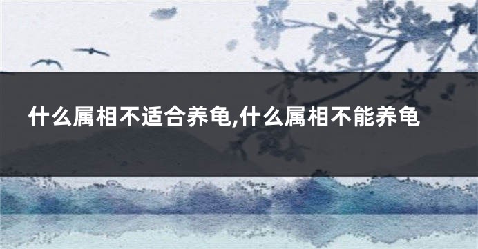 什么属相不适合养龟,什么属相不能养龟