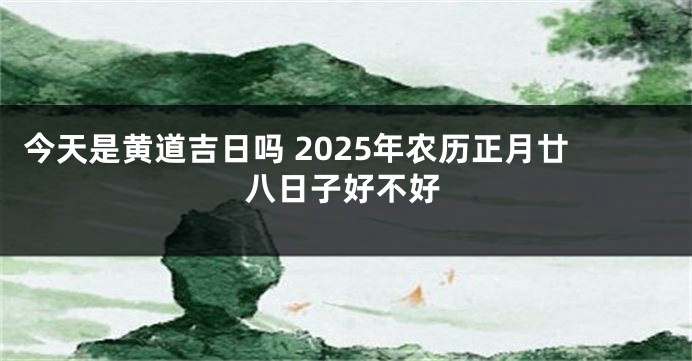 今天是黄道吉日吗 2025年农历正月廿八日子好不好