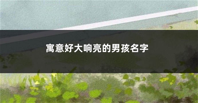 寓意好大响亮的男孩名字