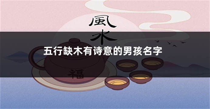 五行缺木有诗意的男孩名字