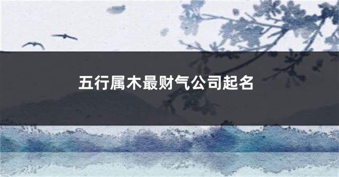 五行属木最财气公司起名