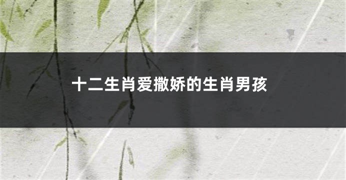 十二生肖爱撒娇的生肖男孩