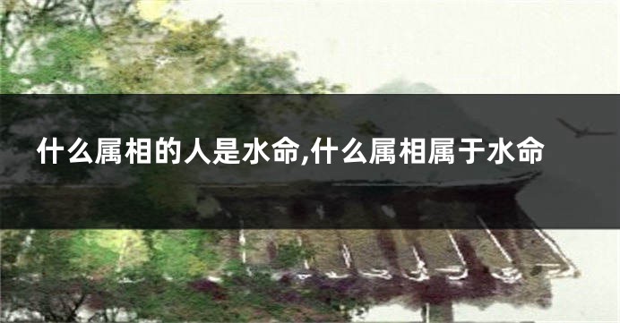 什么属相的人是水命,什么属相属于水命