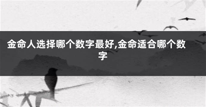 金命人选择哪个数字最好,金命适合哪个数字