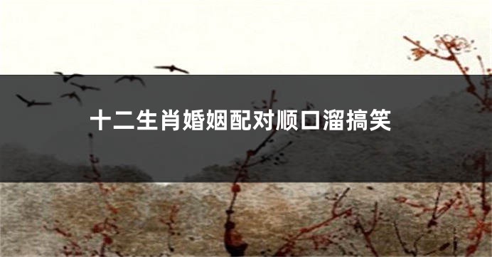 十二生肖婚姻配对顺口溜搞笑