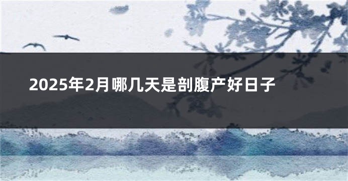 2025年2月哪几天是剖腹产好日子