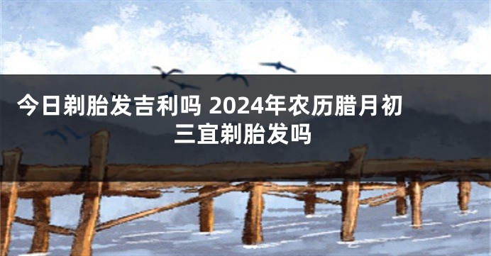 今日剃胎发吉利吗 2024年农历腊月初三宜剃胎发吗