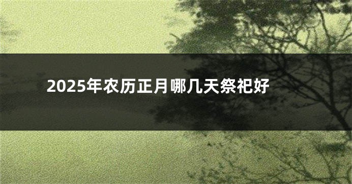 2025年农历正月哪几天祭祀好