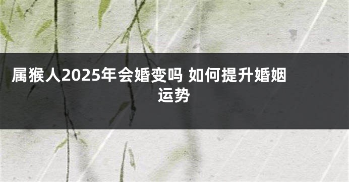 属猴人2025年会婚变吗 如何提升婚姻运势