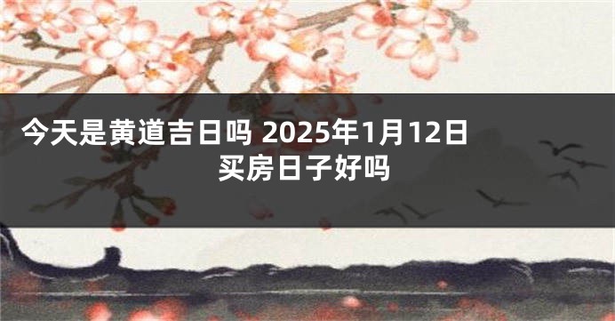 今天是黄道吉日吗 2025年1月12日买房日子好吗
