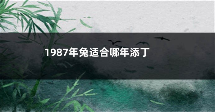 1987年兔适合哪年添丁