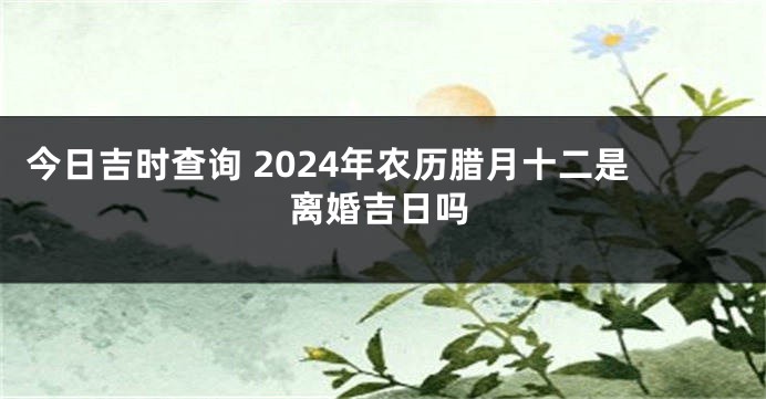 今日吉时查询 2024年农历腊月十二是离婚吉日吗