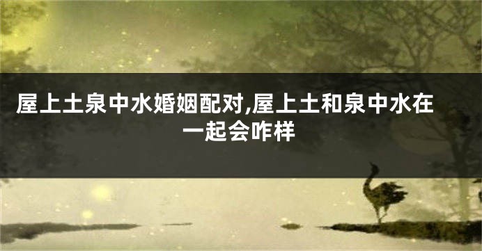 屋上土泉中水婚姻配对,屋上土和泉中水在一起会咋样