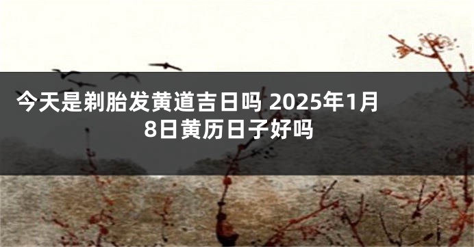 今天是剃胎发黄道吉日吗 2025年1月8日黄历日子好吗