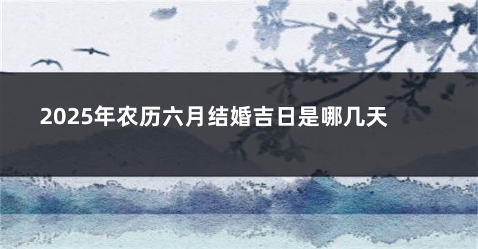2025年农历六月结婚吉日是哪几天