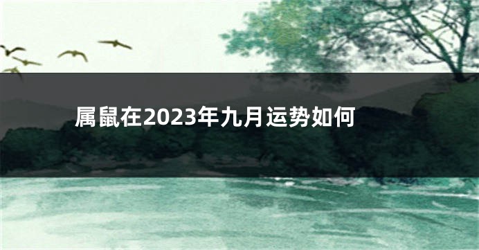 属鼠在2023年九月运势如何