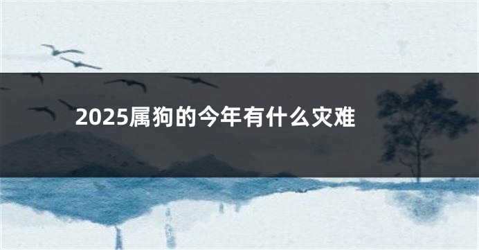 2025属狗的今年有什么灾难