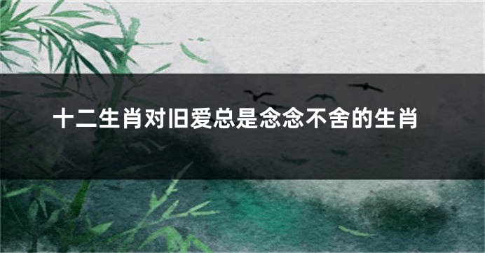 十二生肖对旧爱总是念念不舍的生肖