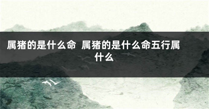 属猪的是什么命  属猪的是什么命五行属什么