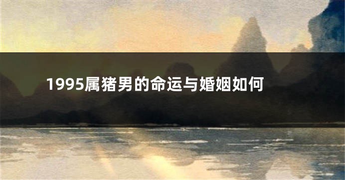 1995属猪男的命运与婚姻如何