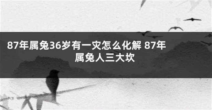 87年属兔36岁有一灾怎么化解 87年属兔人三大坎