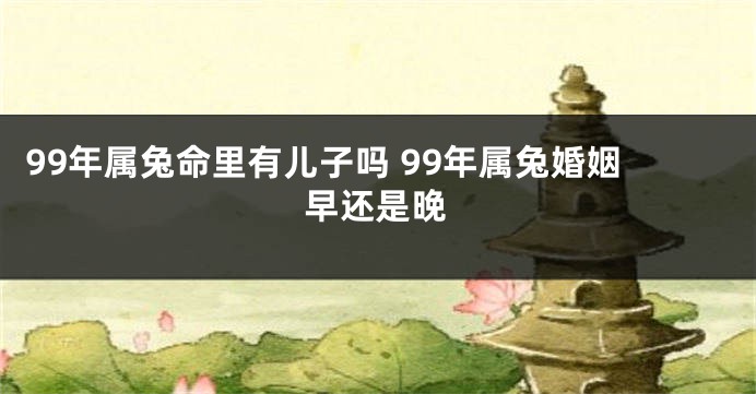 99年属兔命里有儿子吗 99年属兔婚姻早还是晚