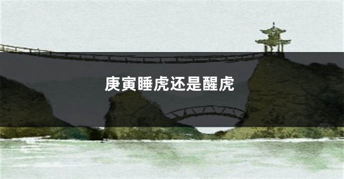 庚寅睡虎还是醒虎