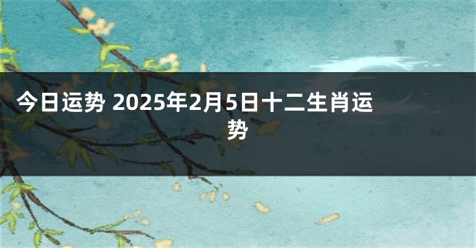 今日运势 2025年2月5日十二生肖运势