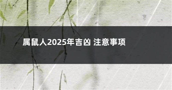 属鼠人2025年吉凶 注意事项