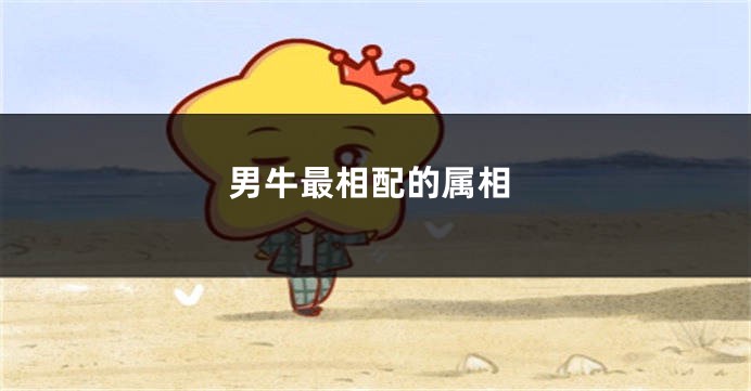 男牛最相配的属相