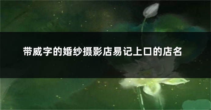 带威字的婚纱摄影店易记上口的店名